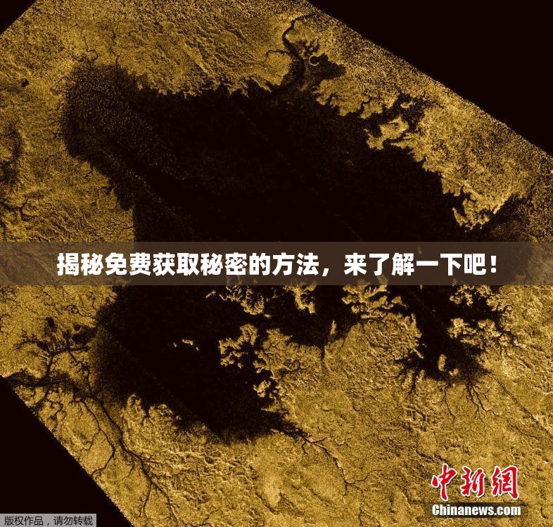 揭秘免费获取秘密的方法，来了解一下吧！