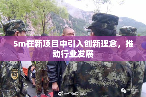 Sm在新项目中引入创新理念，推动行业发展