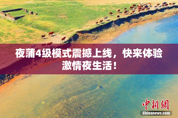 夜蒲4级模式震撼上线，快来体验激情夜生活！