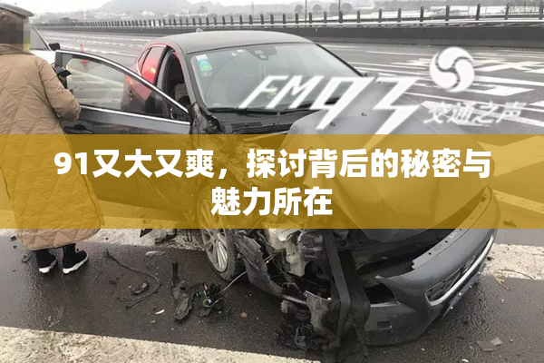 91又大又爽，探讨背后的秘密与魅力所在