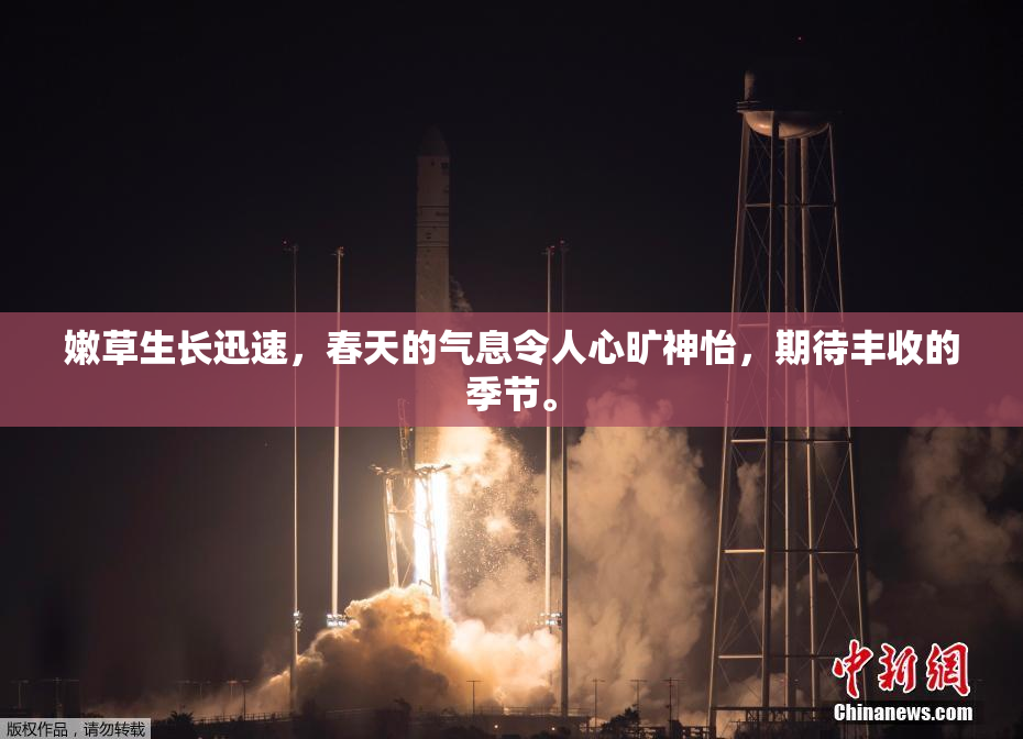 嫩草生长迅速，春天的气息令人心旷神怡，期待丰收的季节。