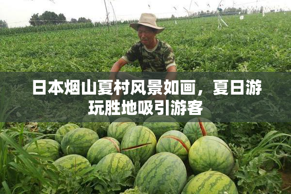 日本烟山夏村风景如画，夏日游玩胜地吸引游客