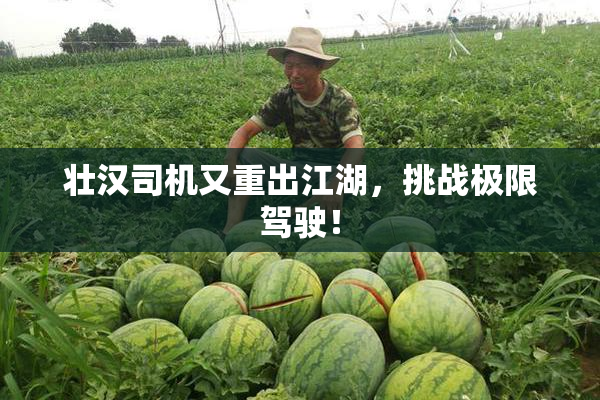 壮汉司机又重出江湖，挑战极限驾驶！