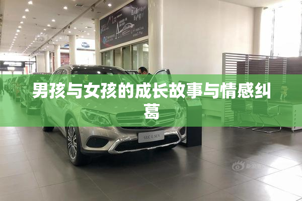 男孩与女孩的成长故事与情感纠葛