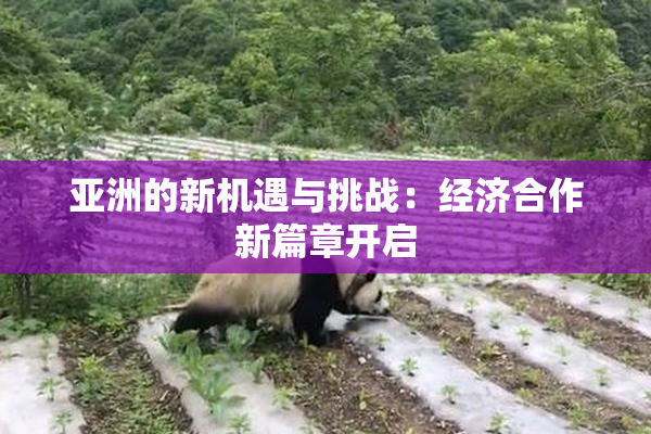 亚洲的新机遇与挑战：经济合作新篇章开启