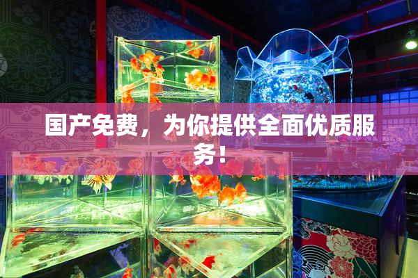 国产免费，为你提供全面优质服务！