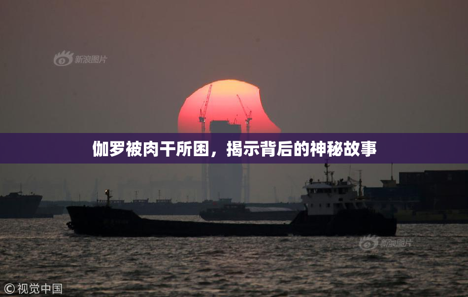 伽罗被肉干所困，揭示背后的神秘故事