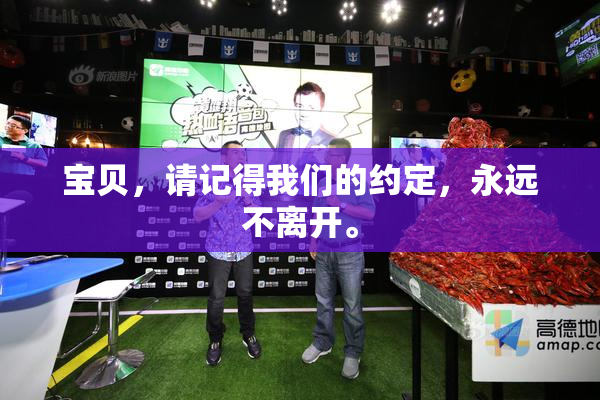 宝贝，请记得我们的约定，永远不离开。
