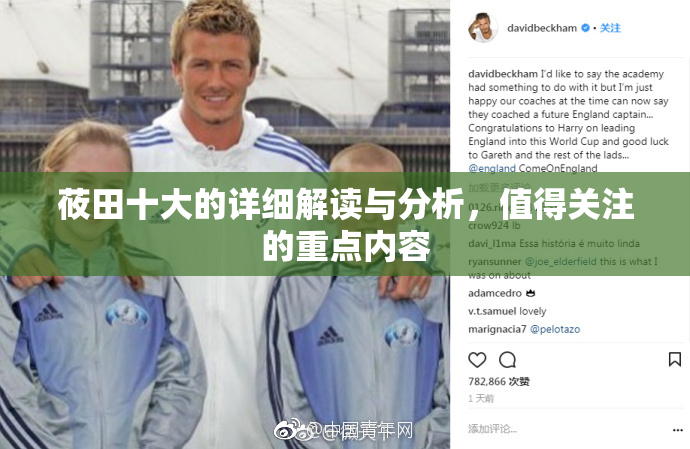 莜田十大的详细解读与分析，值得关注的重点内容
