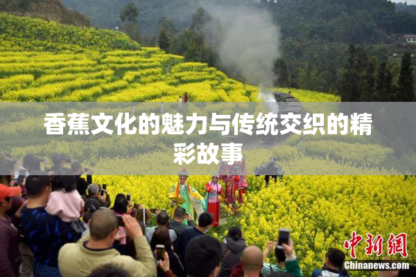 香蕉文化的魅力与传统交织的精彩故事