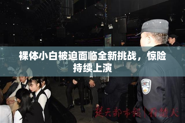 裸体小白被迫面临全新挑战，惊险持续上演