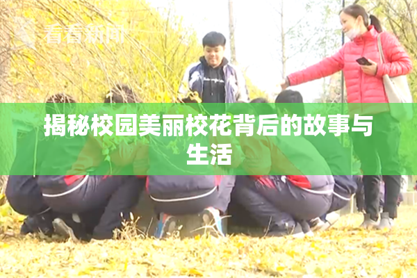 揭秘校园美丽校花背后的故事与生活