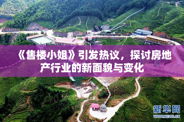 《售楼小姐》引发热议，探讨房地产行业的新面貌与变化