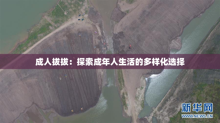 成人拔拔：探索成年人生活的多样化选择