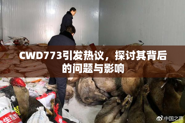 CWD773引发热议，探讨其背后的问题与影响
