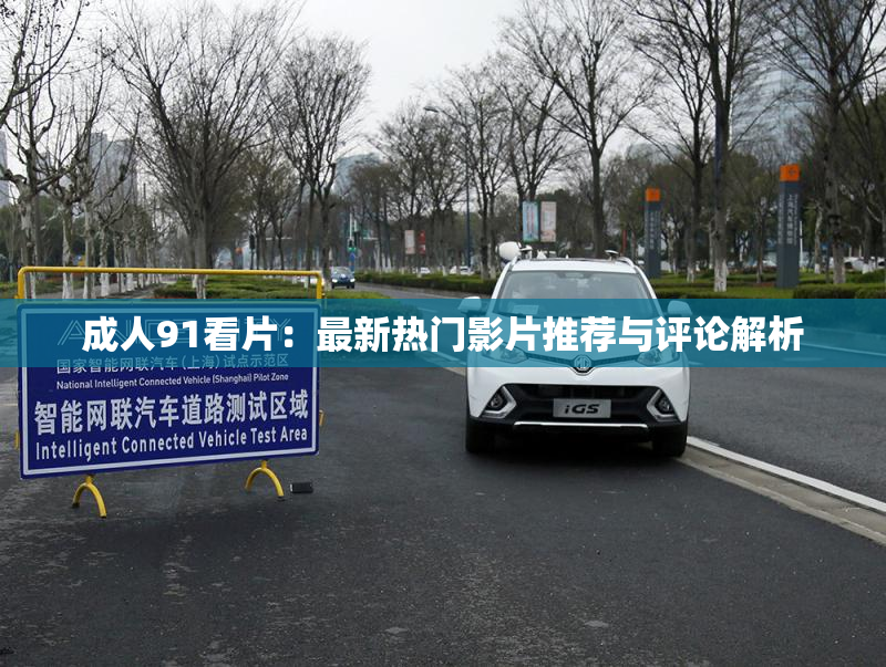 成人91看片：最新热门影片推荐与评论解析