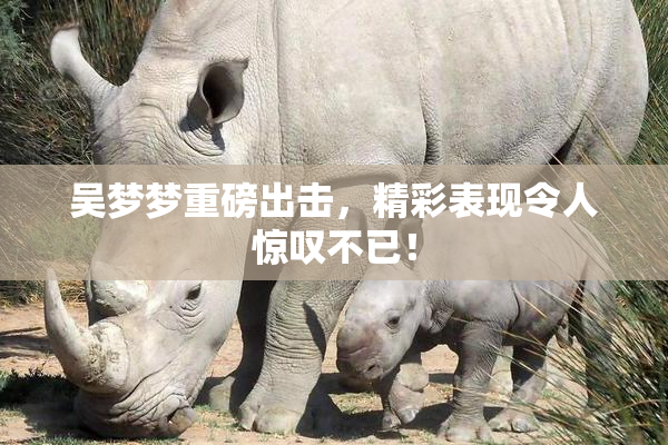 吴梦梦重磅出击，精彩表现令人惊叹不已！