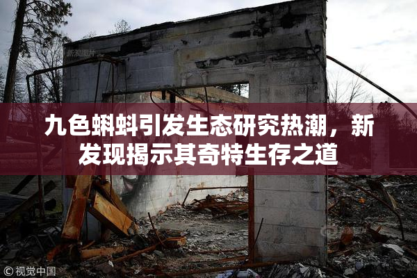 九色蝌蚪引发生态研究热潮，新发现揭示其奇特生存之道