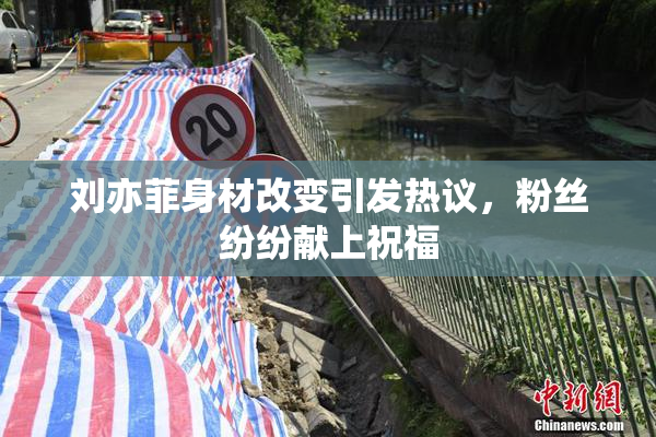 刘亦菲身材改变引发热议，粉丝纷纷献上祝福