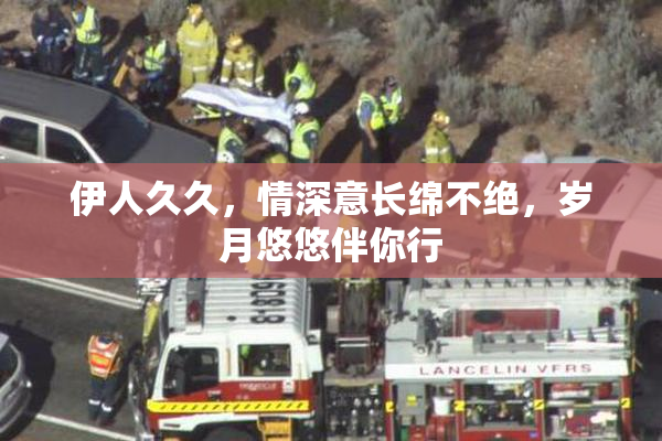 伊人久久，情深意长绵不绝，岁月悠悠伴你行