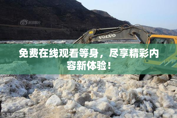 免费在线观看等身，尽享精彩内容新体验！
