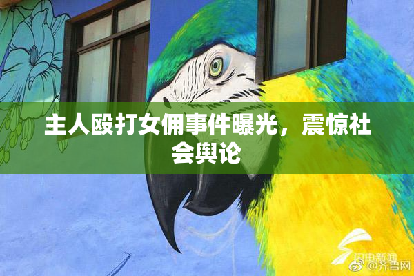 主人殴打女佣事件曝光，震惊社会舆论