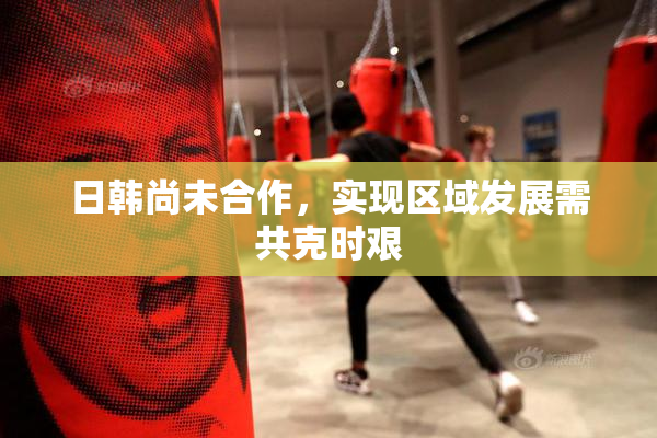 日韩尚未合作，实现区域发展需共克时艰