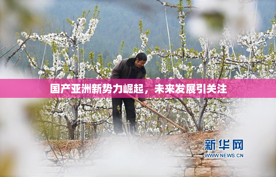 国产亚洲新势力崛起，未来发展引关注