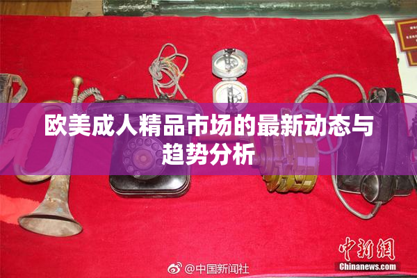 欧美成人精品市场的最新动态与趋势分析
