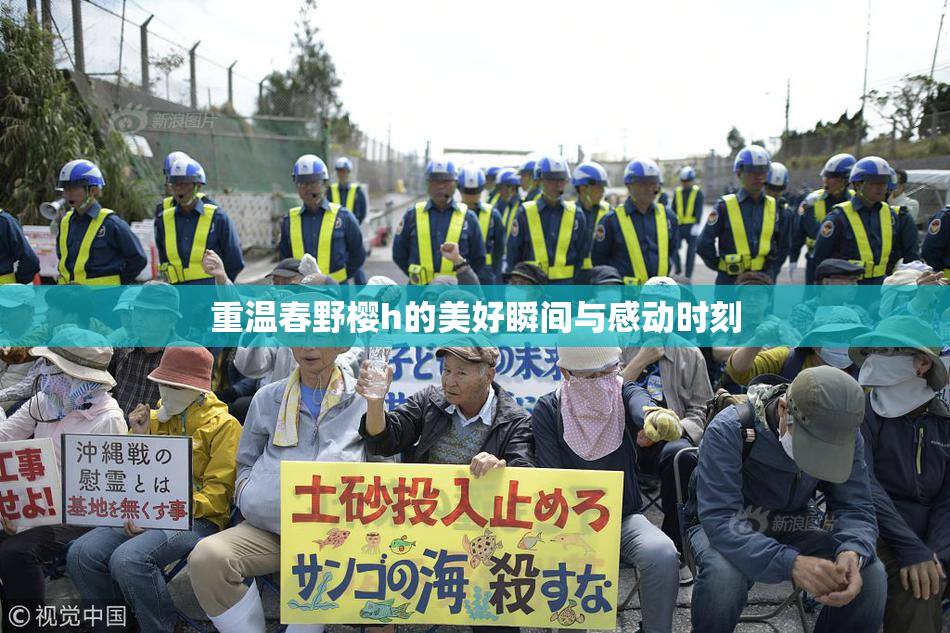 重温春野樱h的美好瞬间与感动时刻