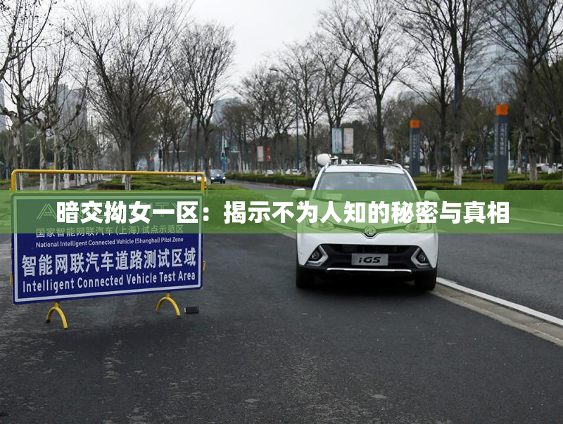 暗交拗女一区：揭示不为人知的秘密与真相
