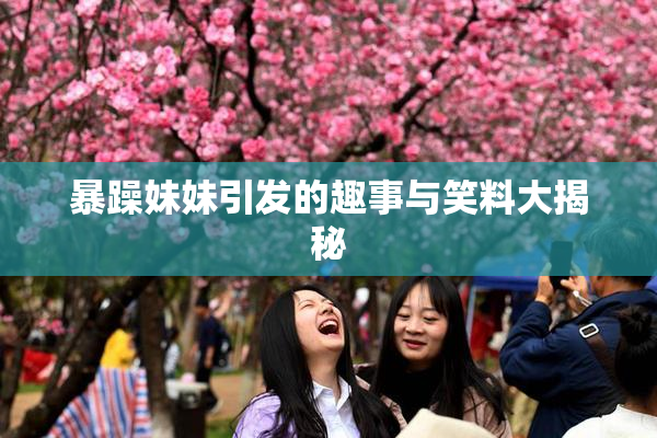 暴躁妹妹引发的趣事与笑料大揭秘