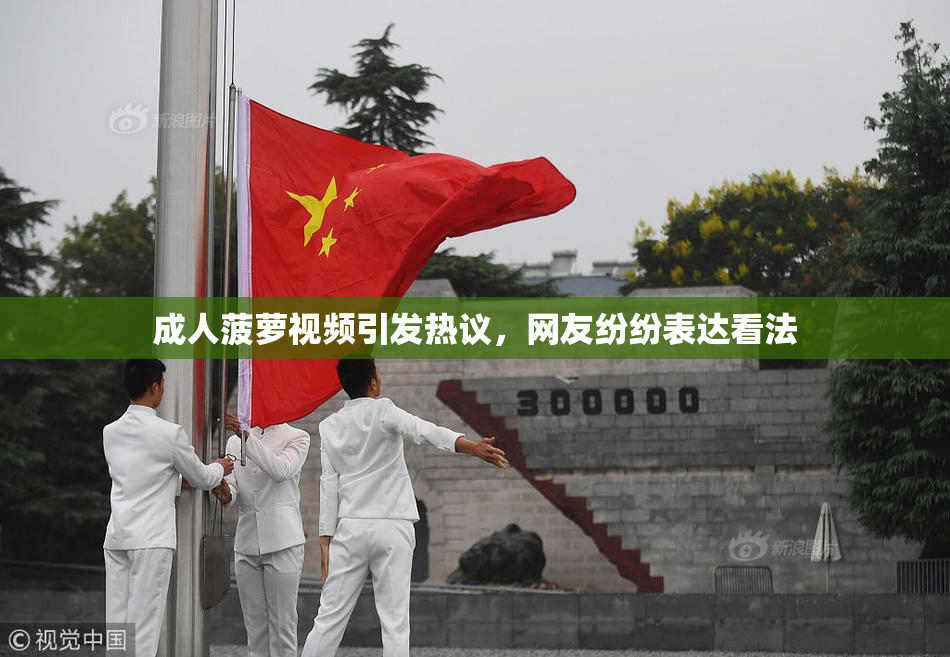 成人菠萝视频引发热议，网友纷纷表达看法