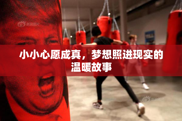 小小心愿成真，梦想照进现实的温暖故事
