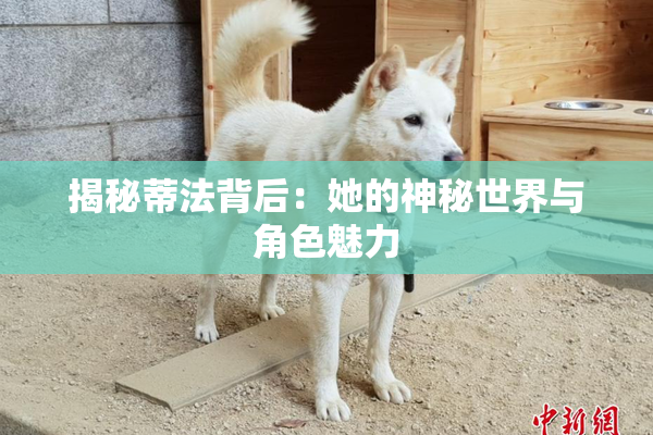 揭秘蒂法背后：她的神秘世界与角色魅力