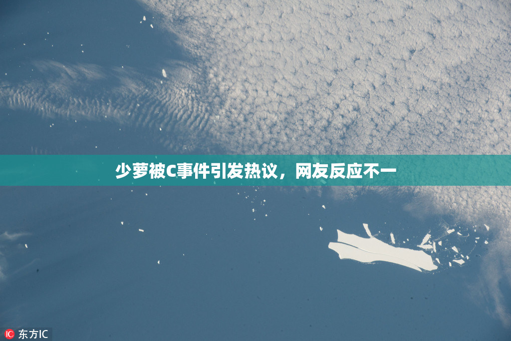少萝被C事件引发热议，网友反应不一