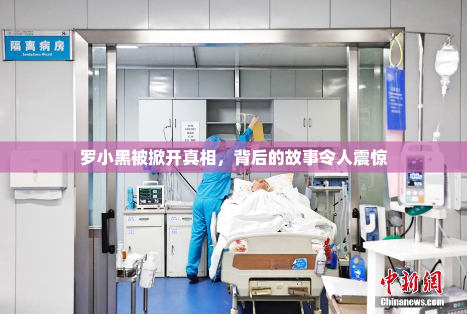 罗小黑被掀开真相，背后的故事令人震惊