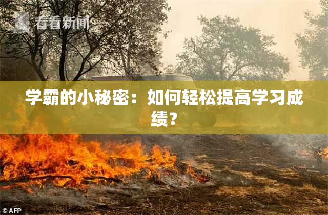 学霸的小秘密：如何轻松提高学习成绩？