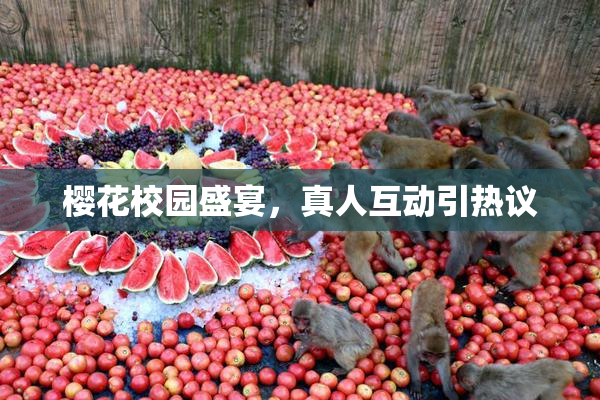 樱花校园盛宴，真人互动引热议