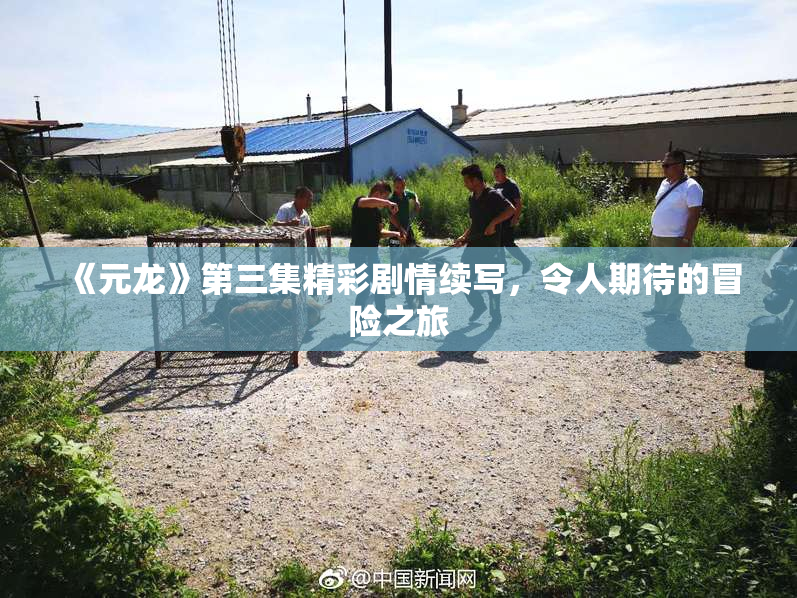 《元龙》第三集精彩剧情续写，令人期待的冒险之旅