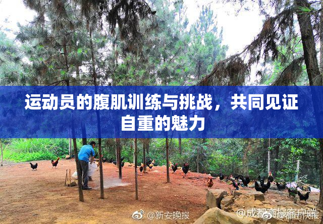 运动员的腹肌训练与挑战，共同见证自重的魅力