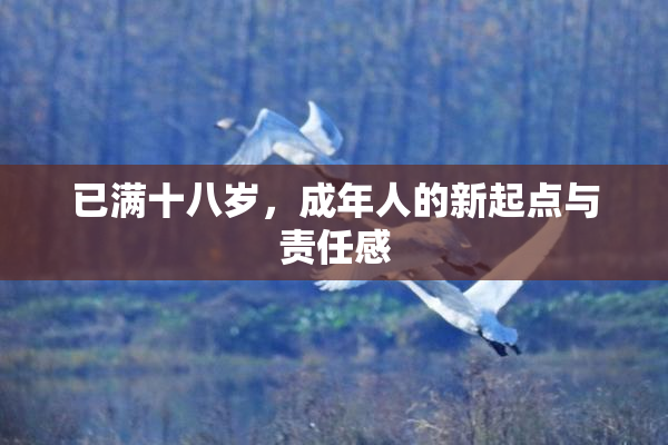已满十八岁，成年人的新起点与责任感