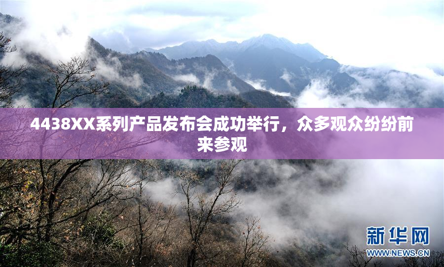 4438XX系列产品发布会成功举行，众多观众纷纷前来参观
