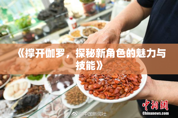 《撑开伽罗，探秘新角色的魅力与技能》