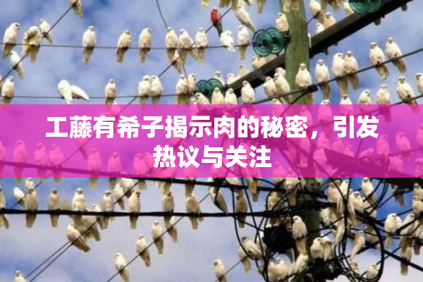 工藤有希子揭示肉的秘密，引发热议与关注