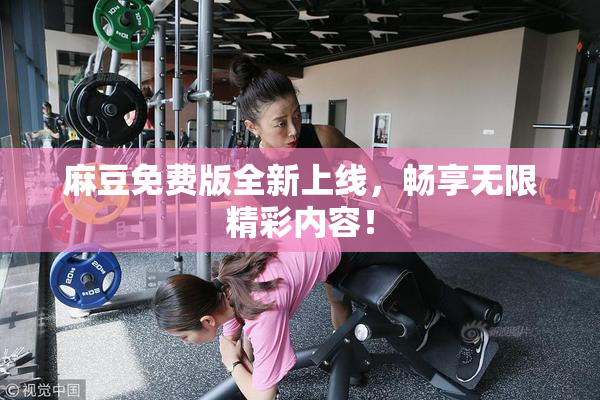 麻豆免费版全新上线，畅享无限精彩内容！