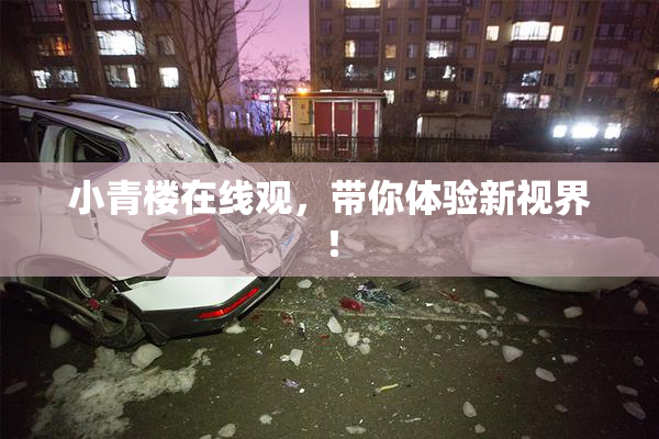 小青楼在线观，带你体验新视界！