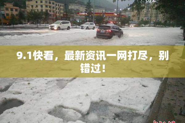 9.1快看，最新资讯一网打尽，别错过！
