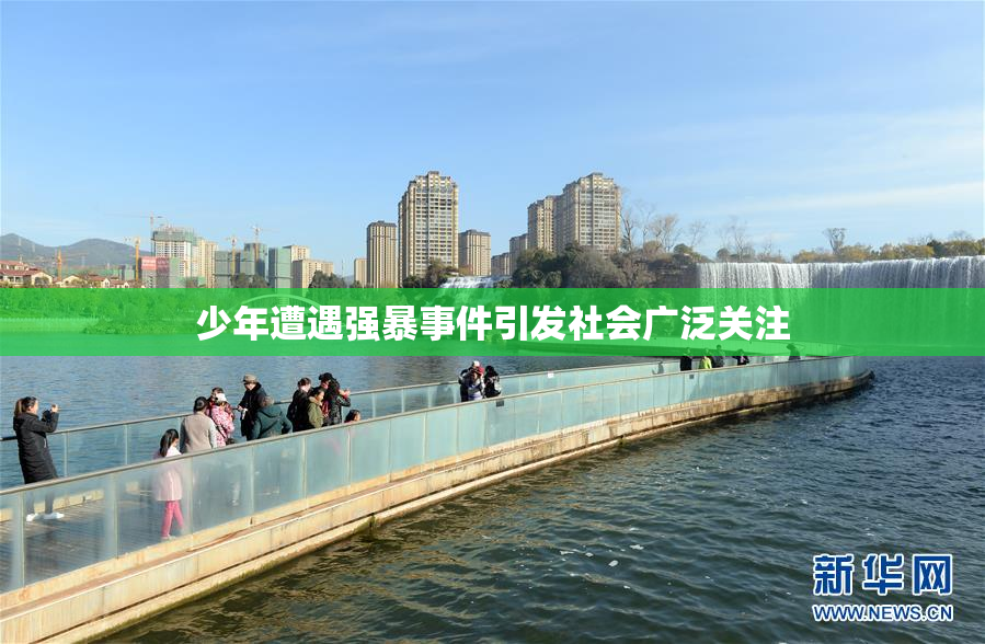 少年遭遇强暴事件引发社会广泛关注