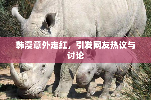 韩漫意外走红，引发网友热议与讨论
